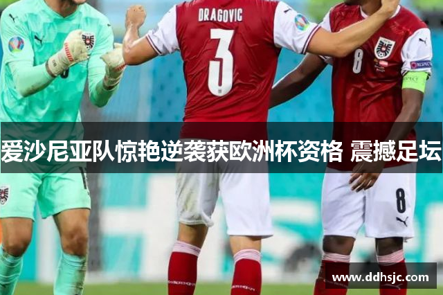 爱沙尼亚队惊艳逆袭获欧洲杯资格 震撼足坛