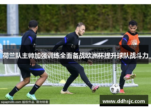 荷兰队主帅加强训练全面备战欧洲杯提升球队战斗力