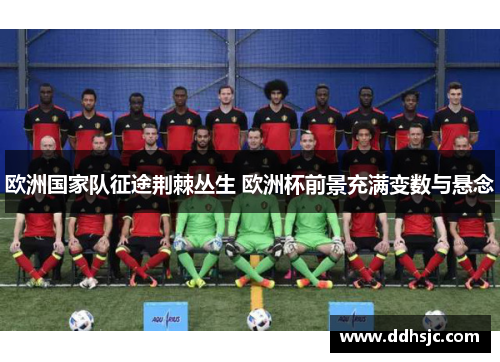 欧洲国家队征途荆棘丛生 欧洲杯前景充满变数与悬念