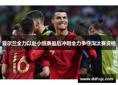 爱尔兰全力以赴小组赛最后冲刺全力争夺淘汰赛资格