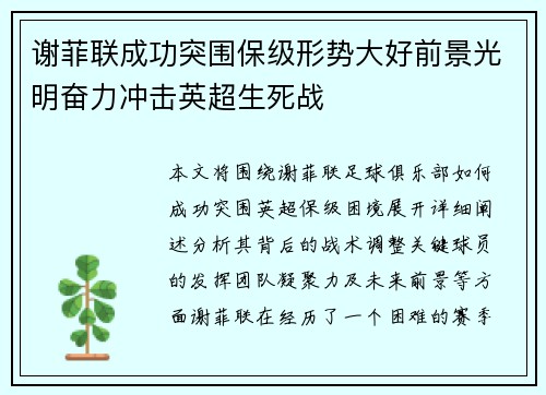 谢菲联成功突围保级形势大好前景光明奋力冲击英超生死战