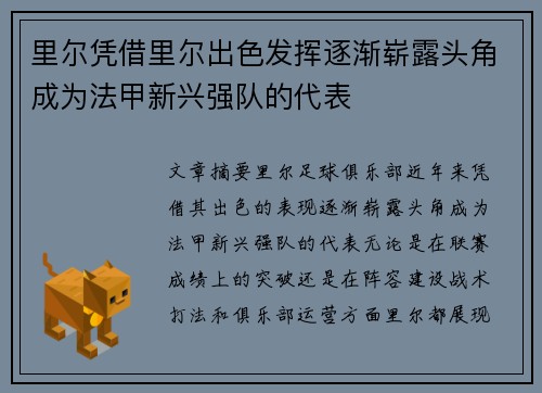 里尔凭借里尔出色发挥逐渐崭露头角成为法甲新兴强队的代表