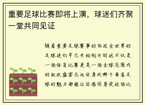 重要足球比赛即将上演，球迷们齐聚一堂共同见证