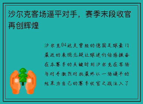 沙尔克客场逼平对手，赛季末段收官再创辉煌