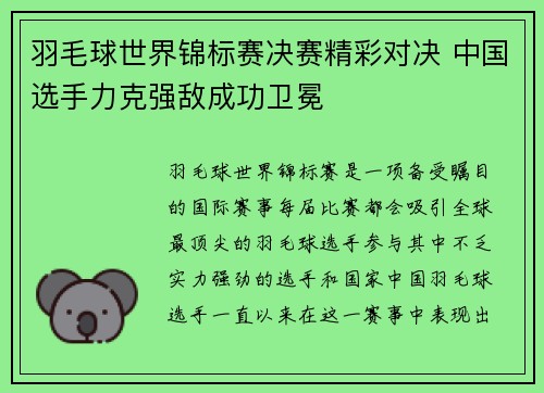 羽毛球世界锦标赛决赛精彩对决 中国选手力克强敌成功卫冕
